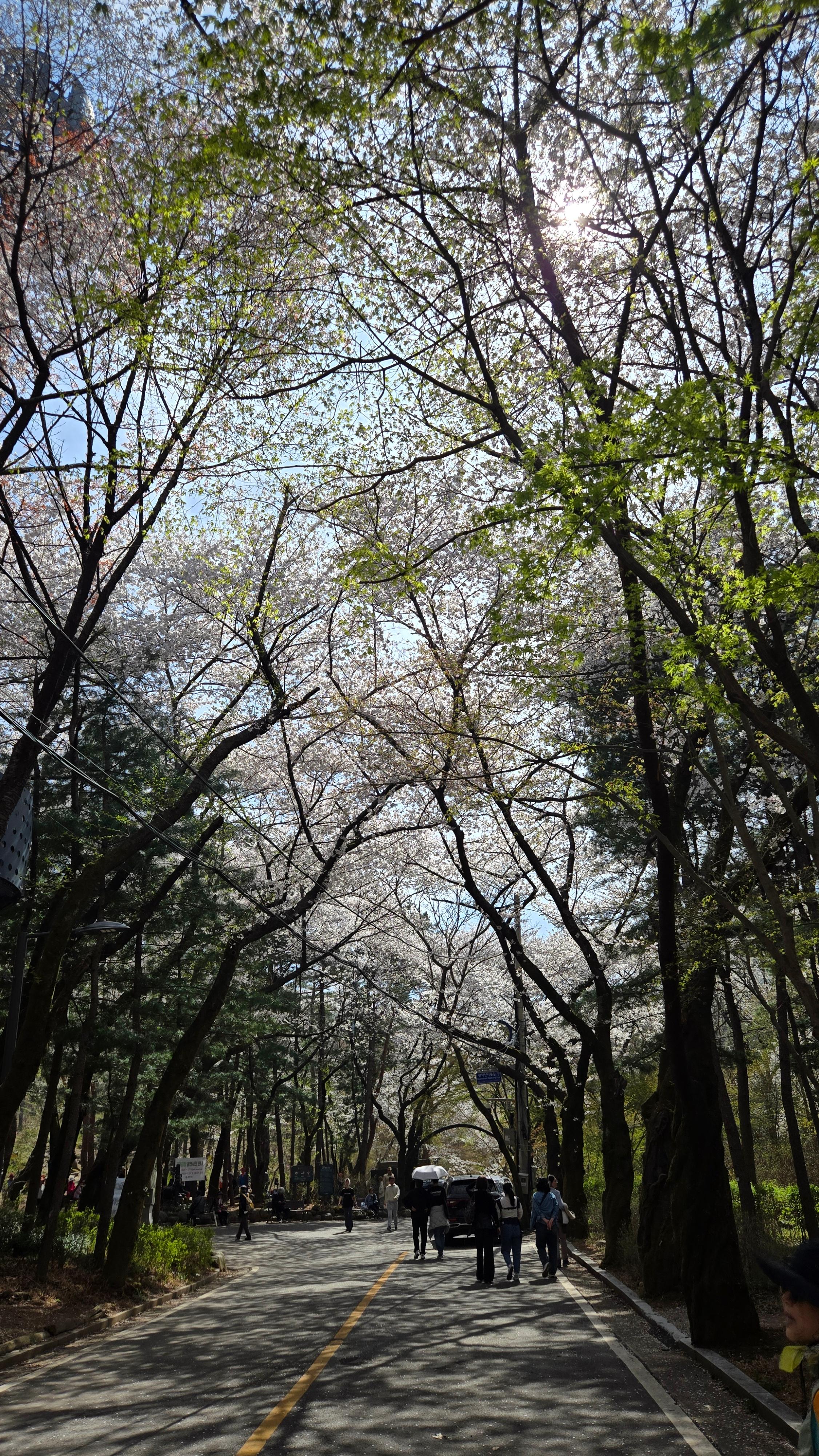 서울대입구 출발 코스 