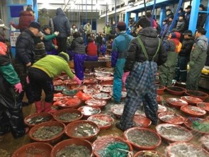 수산-시장에서-요리조리-둘러보며-하나씩-생선을-사고있는-주부들