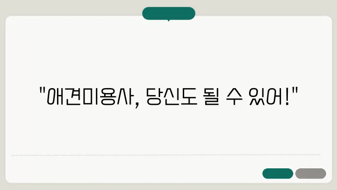 애견미용사자격증 어떻게 준비할까? 한국애견연맹 가이드