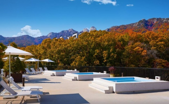 파라스파라서울