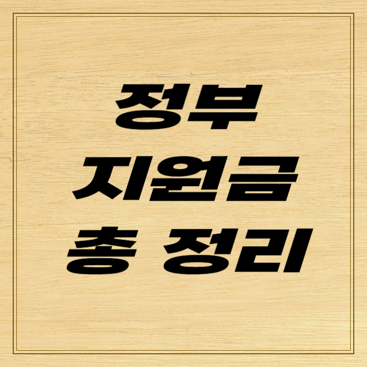 정부지원금 총정리