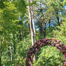 화담숲 단풍 절정시기