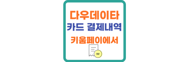 다우데이타 카드 결제내역