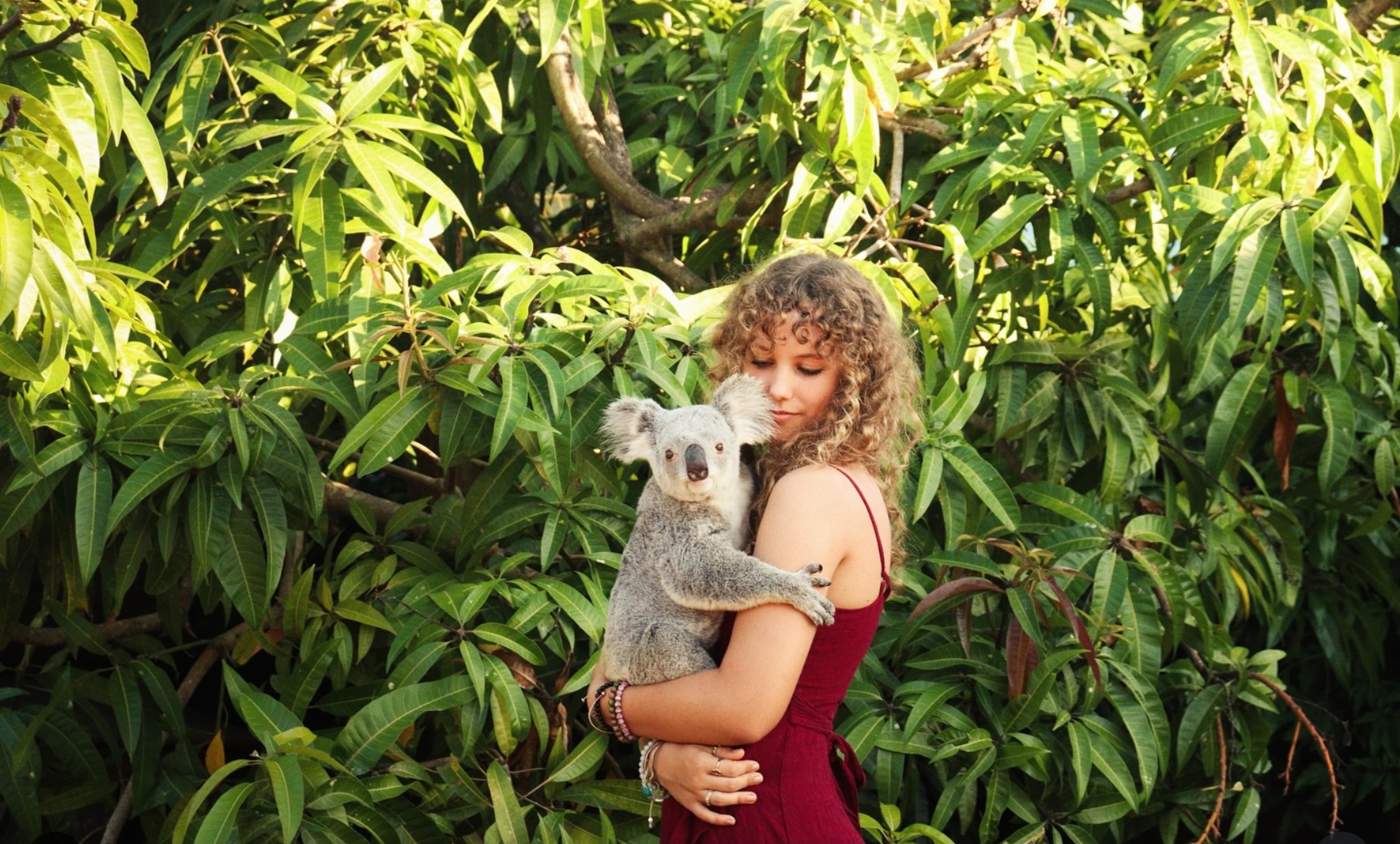 Izzy's Koala world