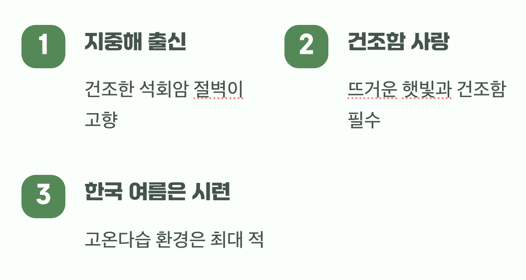 고향을 이해하면 답이 보여요