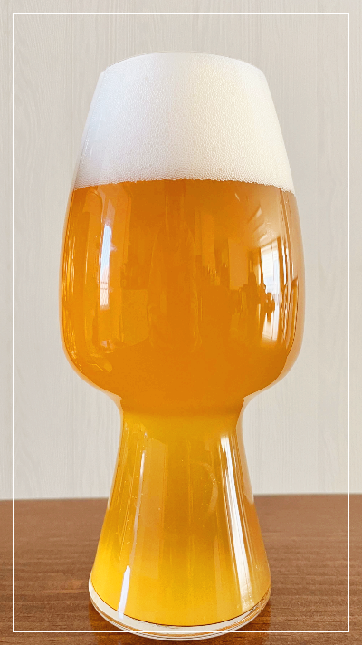 강원도 아리비어 윤바이젠