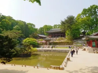 창경궁 예약 탐방 근처 맛집 10선_10