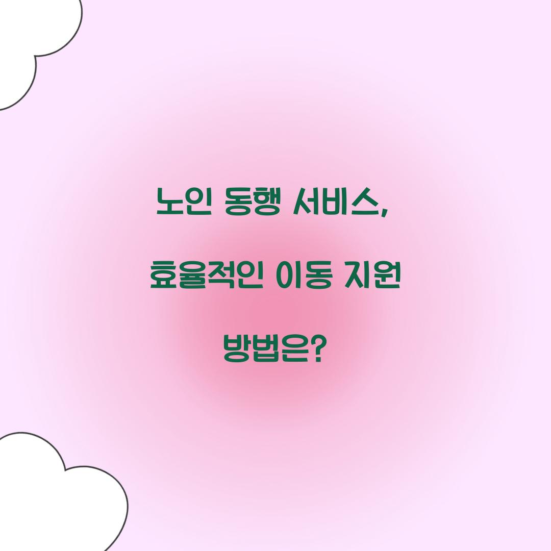노인 동행 서비스