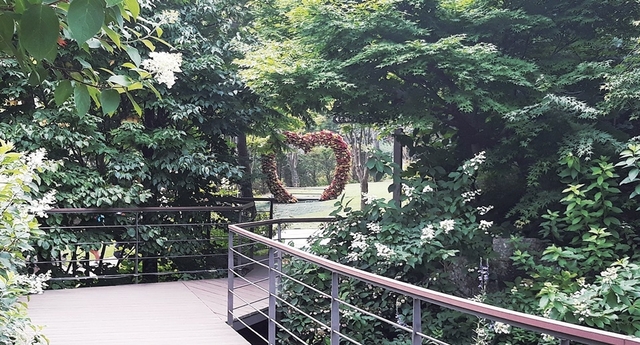 화담숲 예약 방법과 방문 팁 총정리