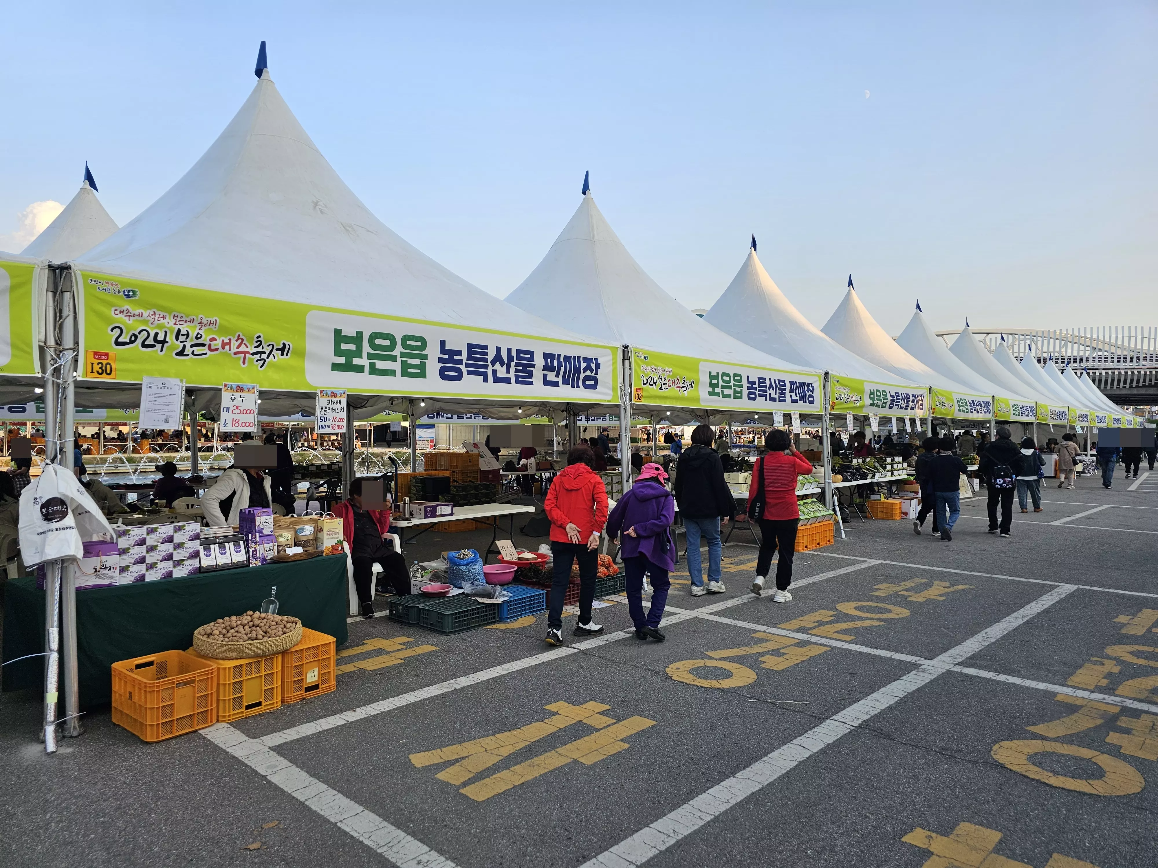 보은 대추 축제 초대 가수