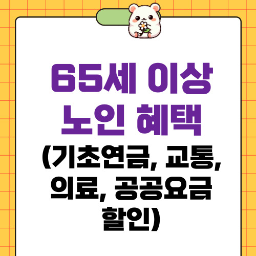 65세 이상 노인 혜택