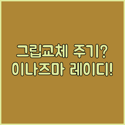 골프그립 교체 주기와 이나즈마 레이디..