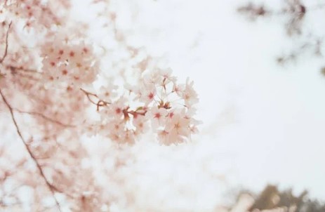 일본 미성년자 여행 비행기 탑승 숙소 이용 시 유의사항