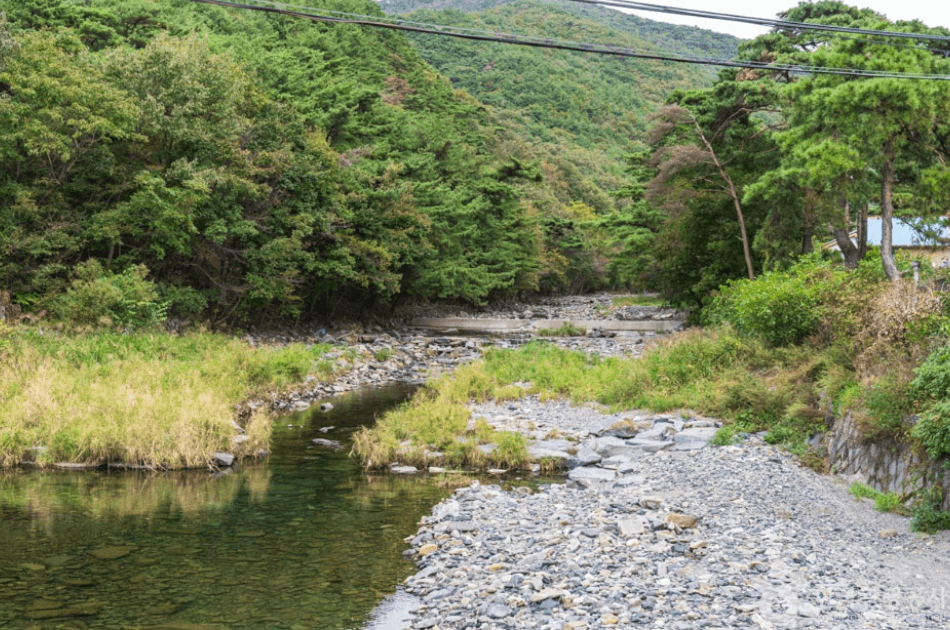 보령시 심연동계곡