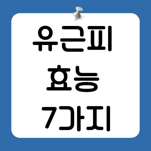 유근피 효능