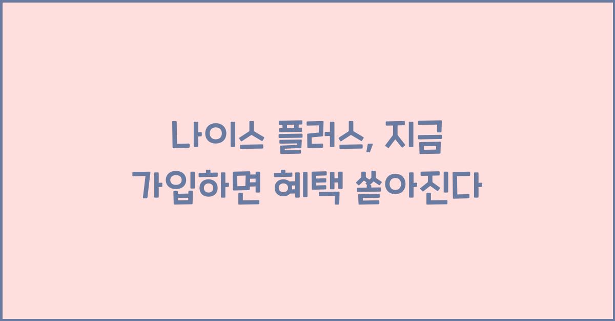 나이스 플러스