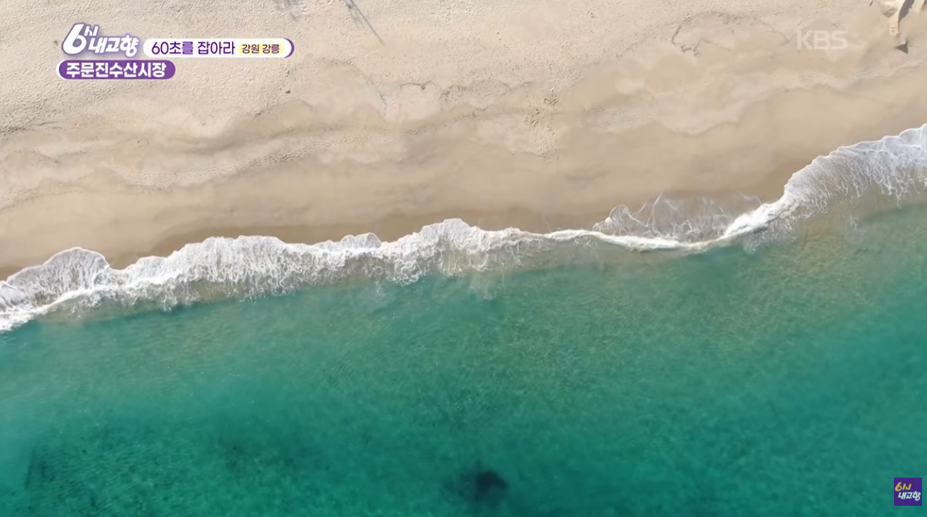 6시 내고향 독도홍게