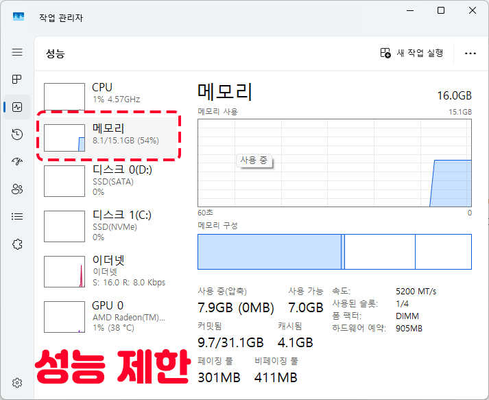 성능 제한