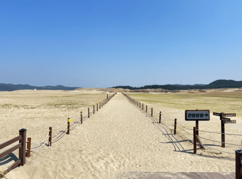 신두리-해안사구