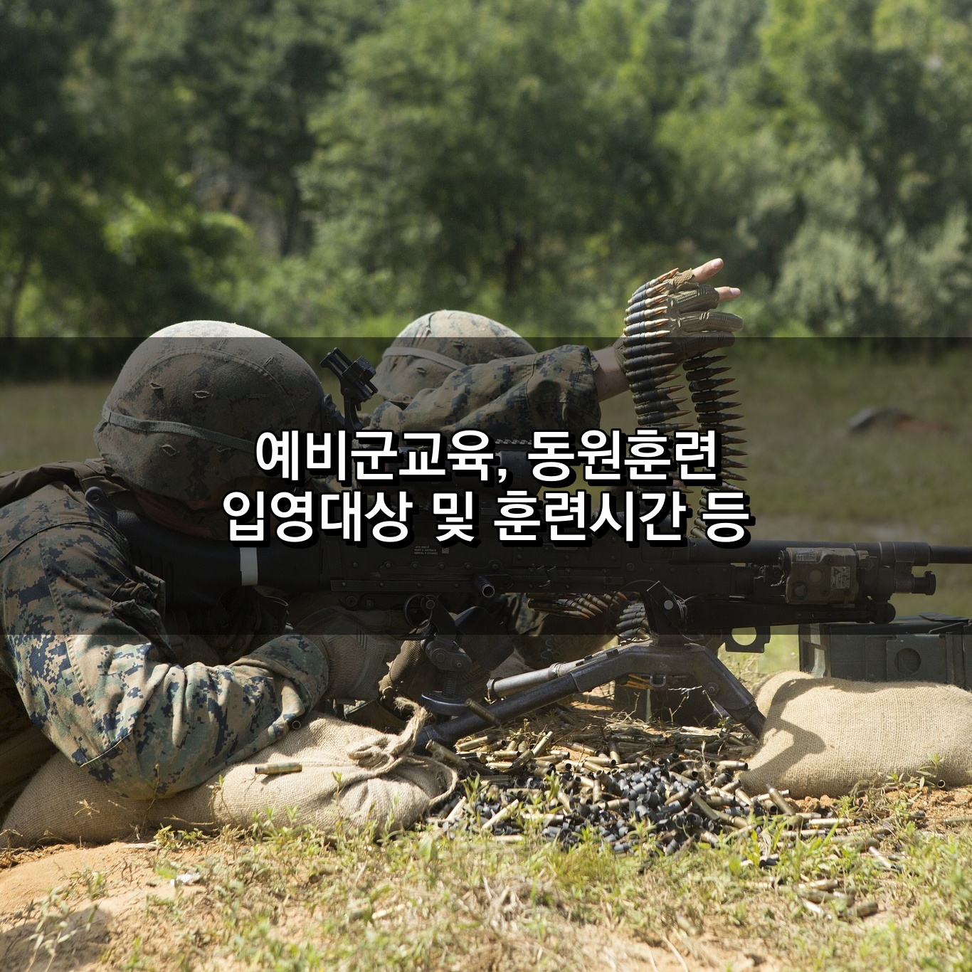 예비군 동원훈련 내용정리