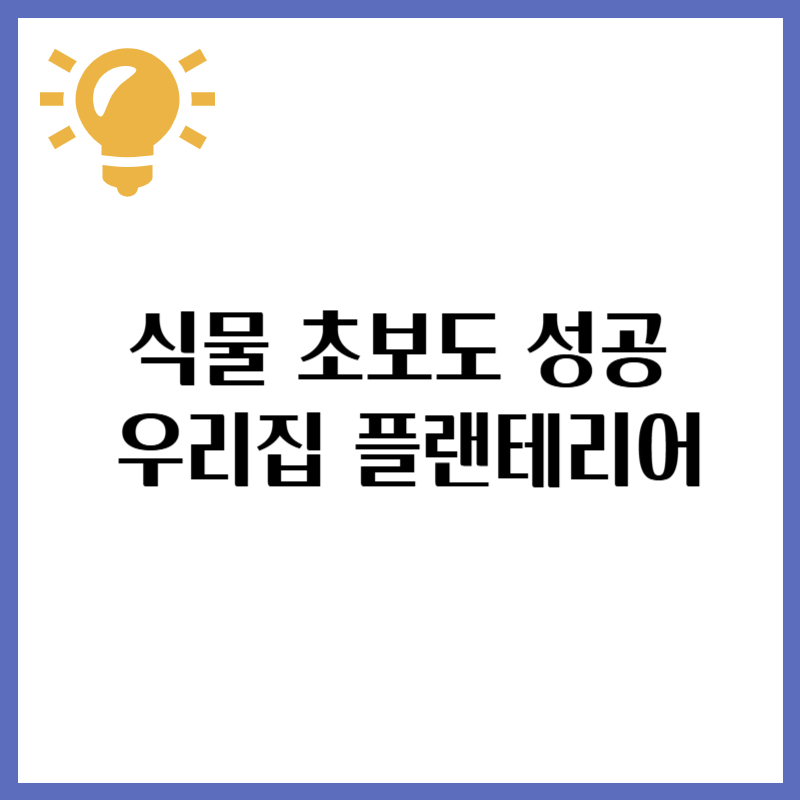 식물 초보도 성공하는! 우리 집 플랜테리어 팁