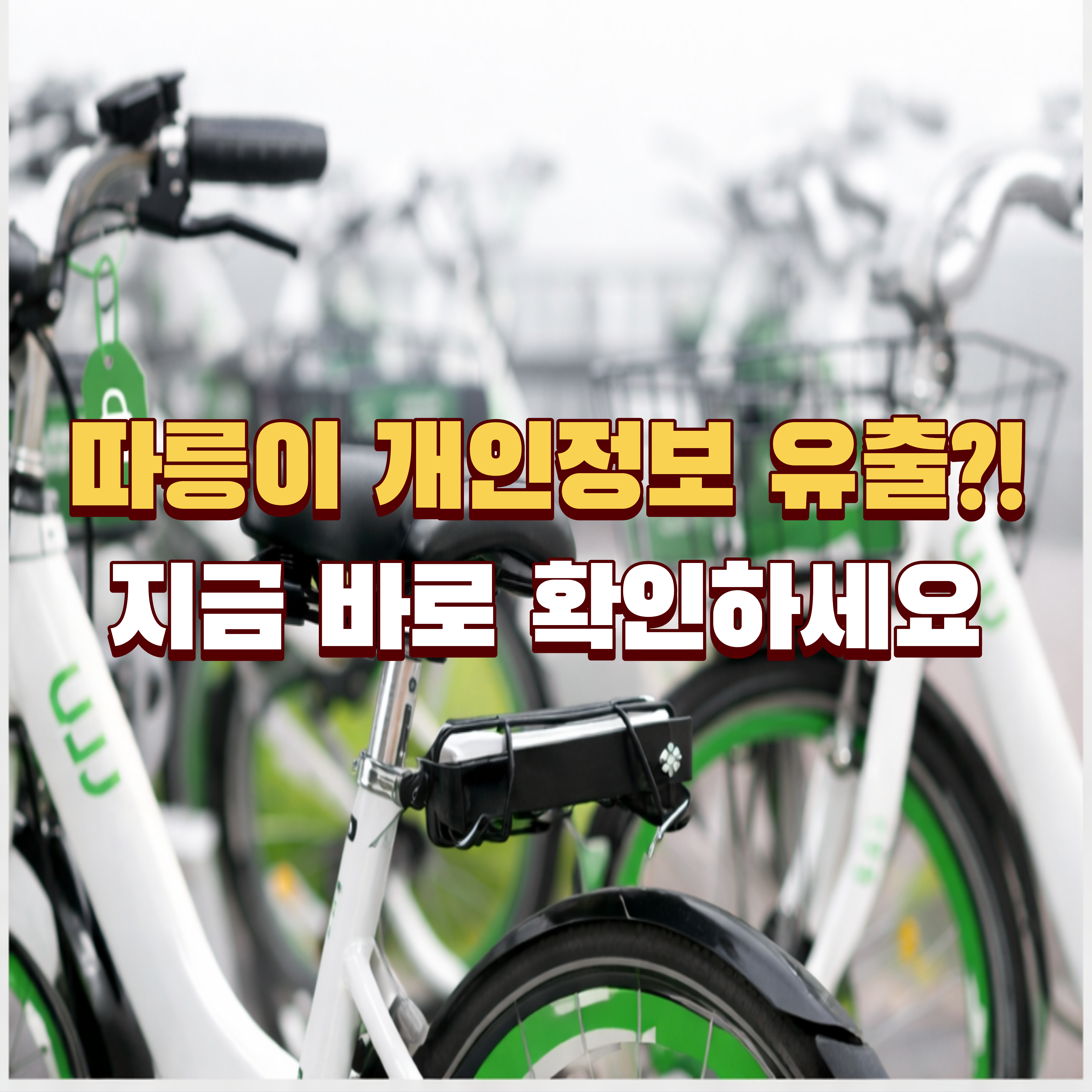 서울 따릉이 개인정보 유출 피해 여부 확인 방법 총정리