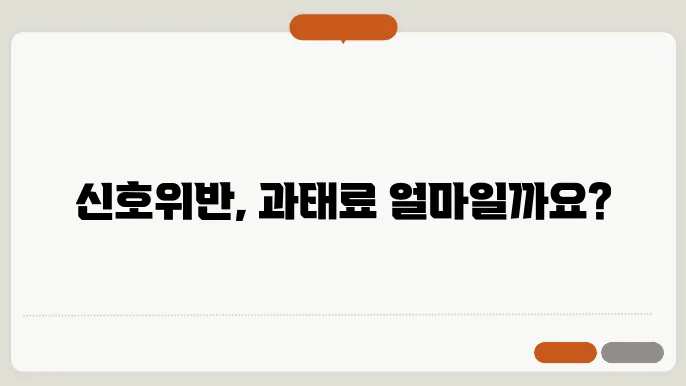 신호위반 과태료 종류와 금액 정리