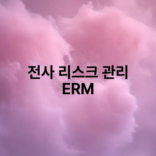 전사 리스크 관리 ERM