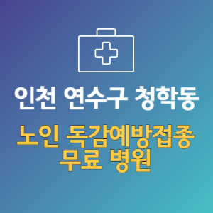인천 연수구 청학동 노인 독감예방접종 무료 병원 (인플루엔자 무료 접종 대상 날짜)