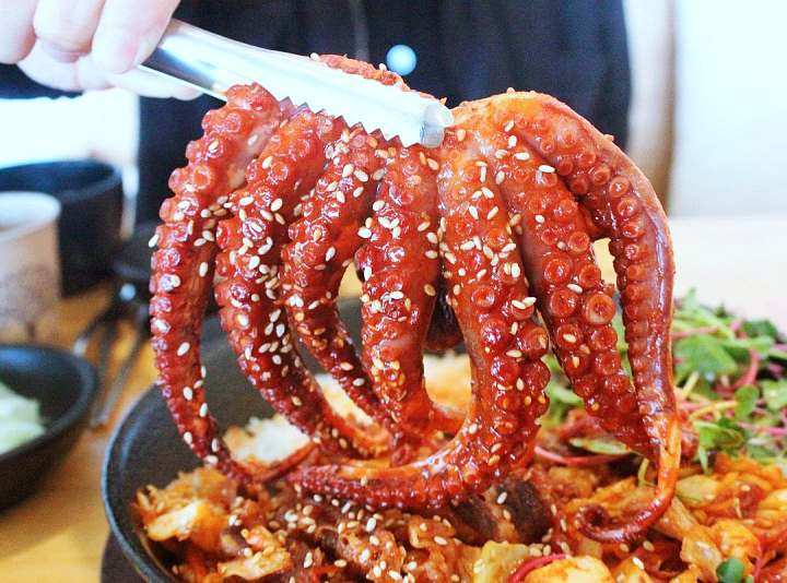 생생정보 돌문어덮밥 맛집