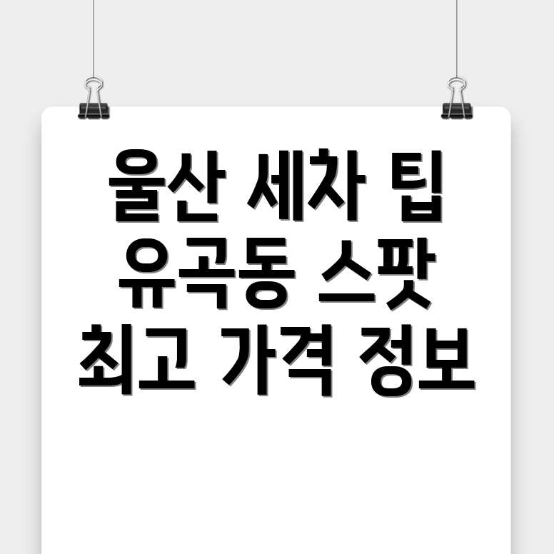 내부 세차