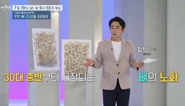 뼈의노화