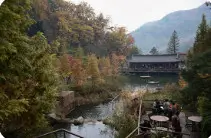 화담숲 초행자를 위한 완벽 가이드