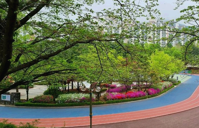 내가 실제로 가본 군포시 숨은 명소 5곳