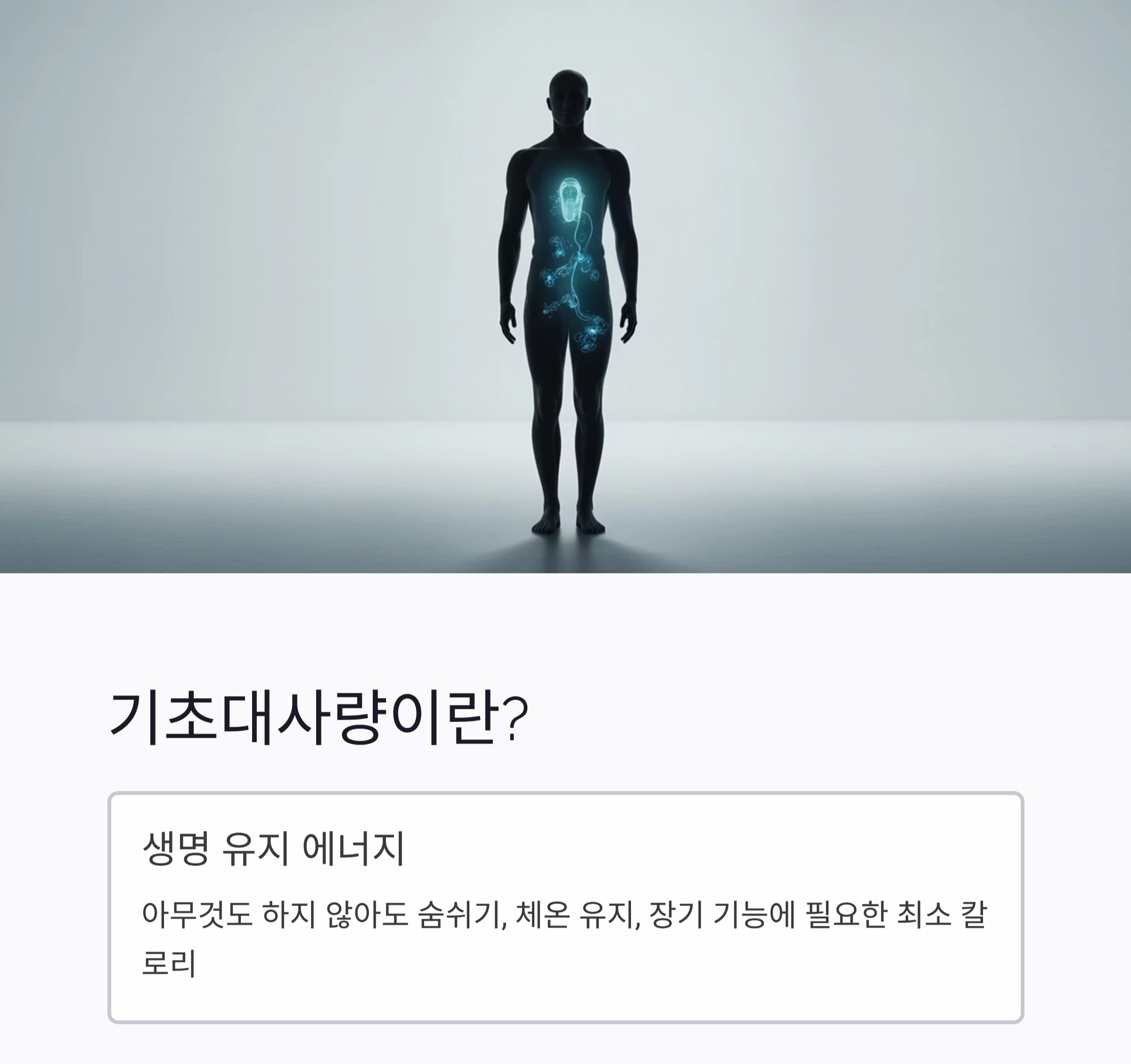 하루 칼로리 소비의 핵심! 기초대사량 계산법 제대로 알아보기