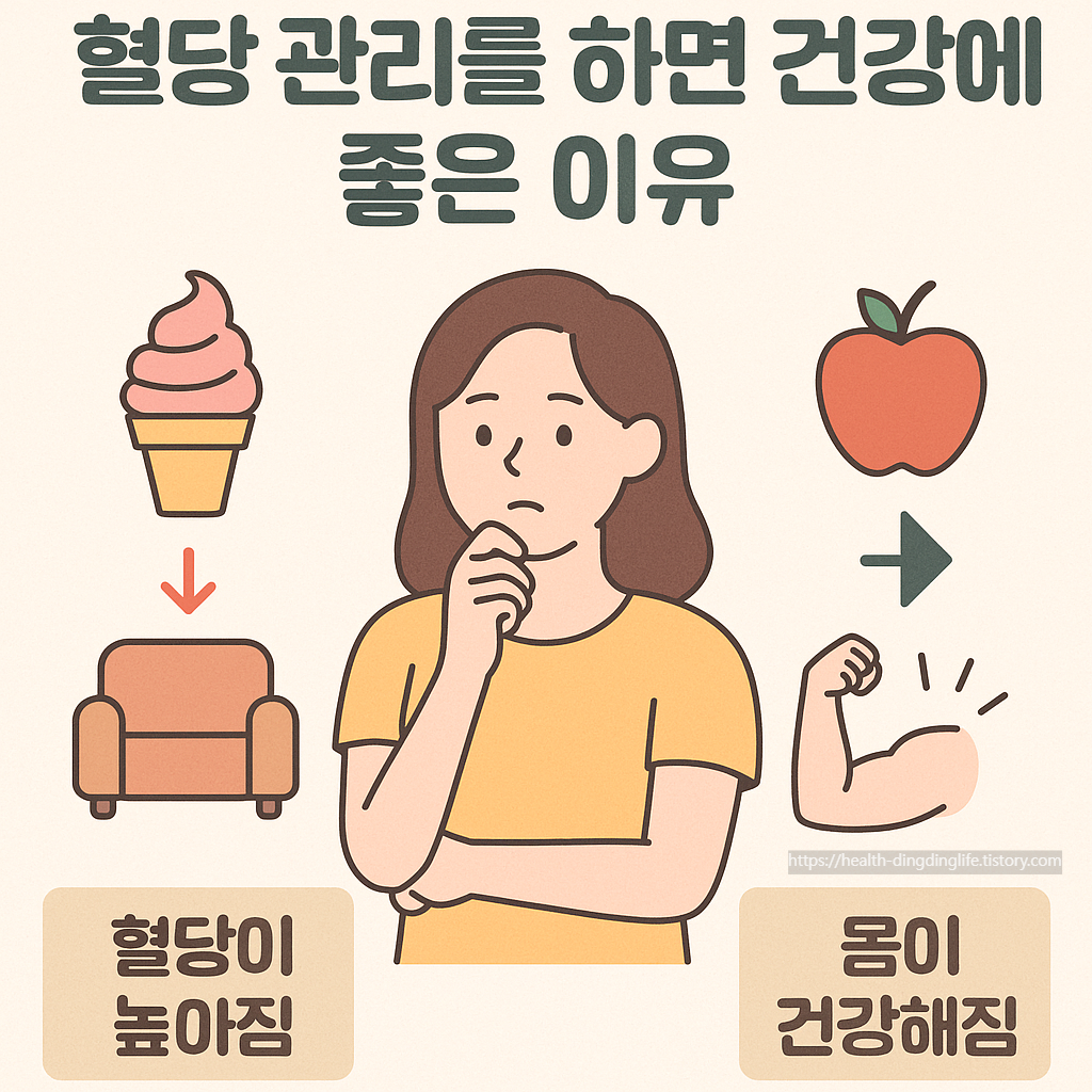 혈당 관리를 하면 건강에 좋은 이유