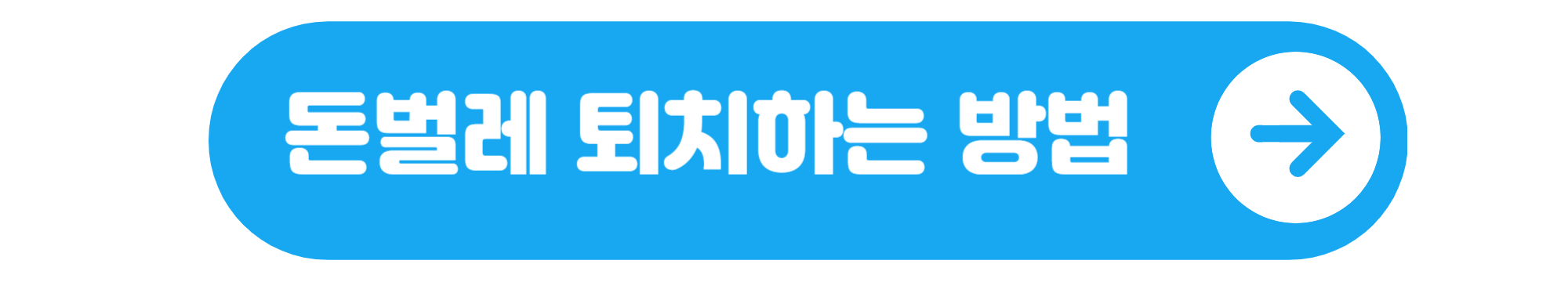 돈벌레나오는이유