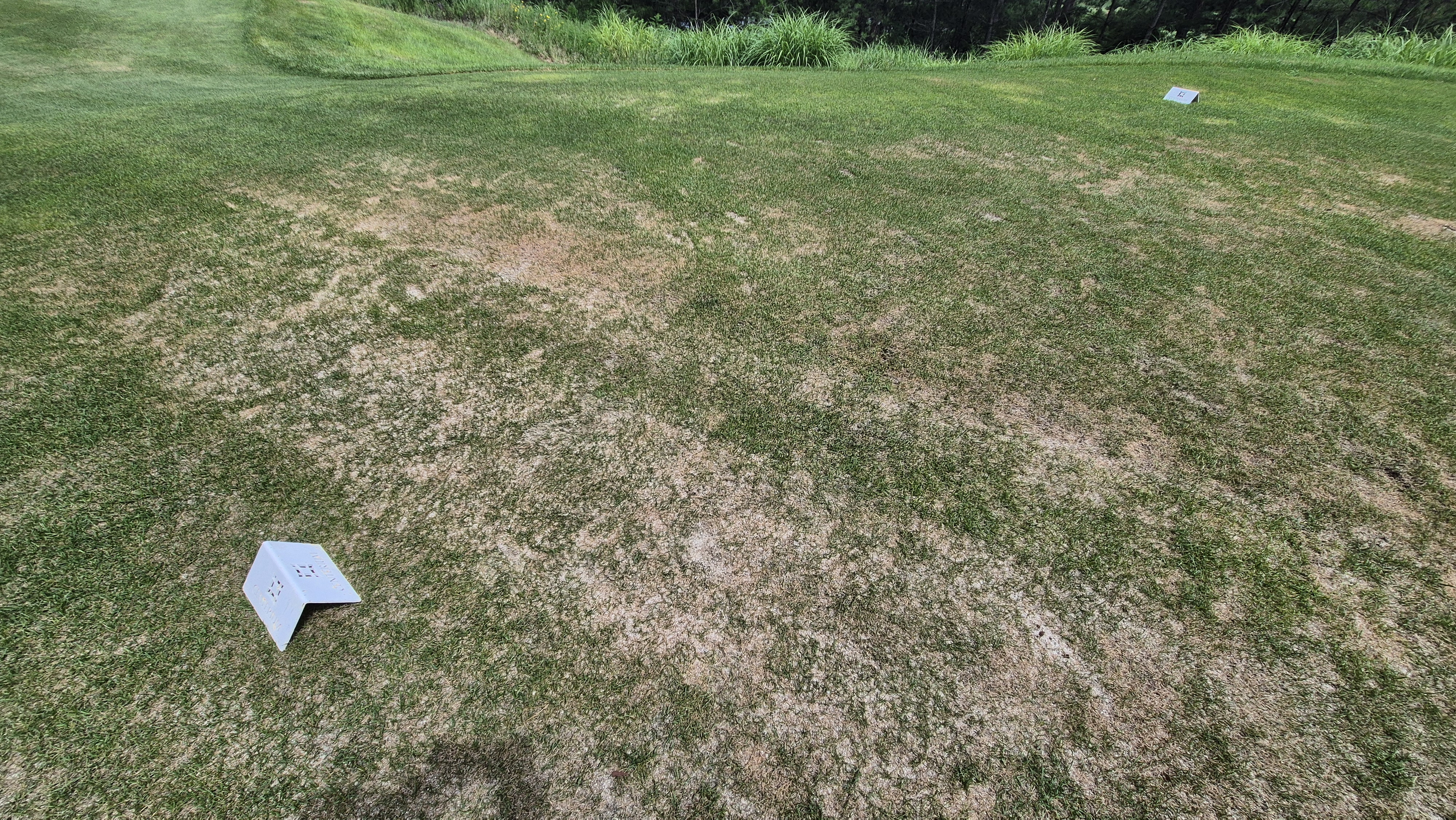 센테리움cc 스코틀랜드-웨일즈 코스 라운드 후기