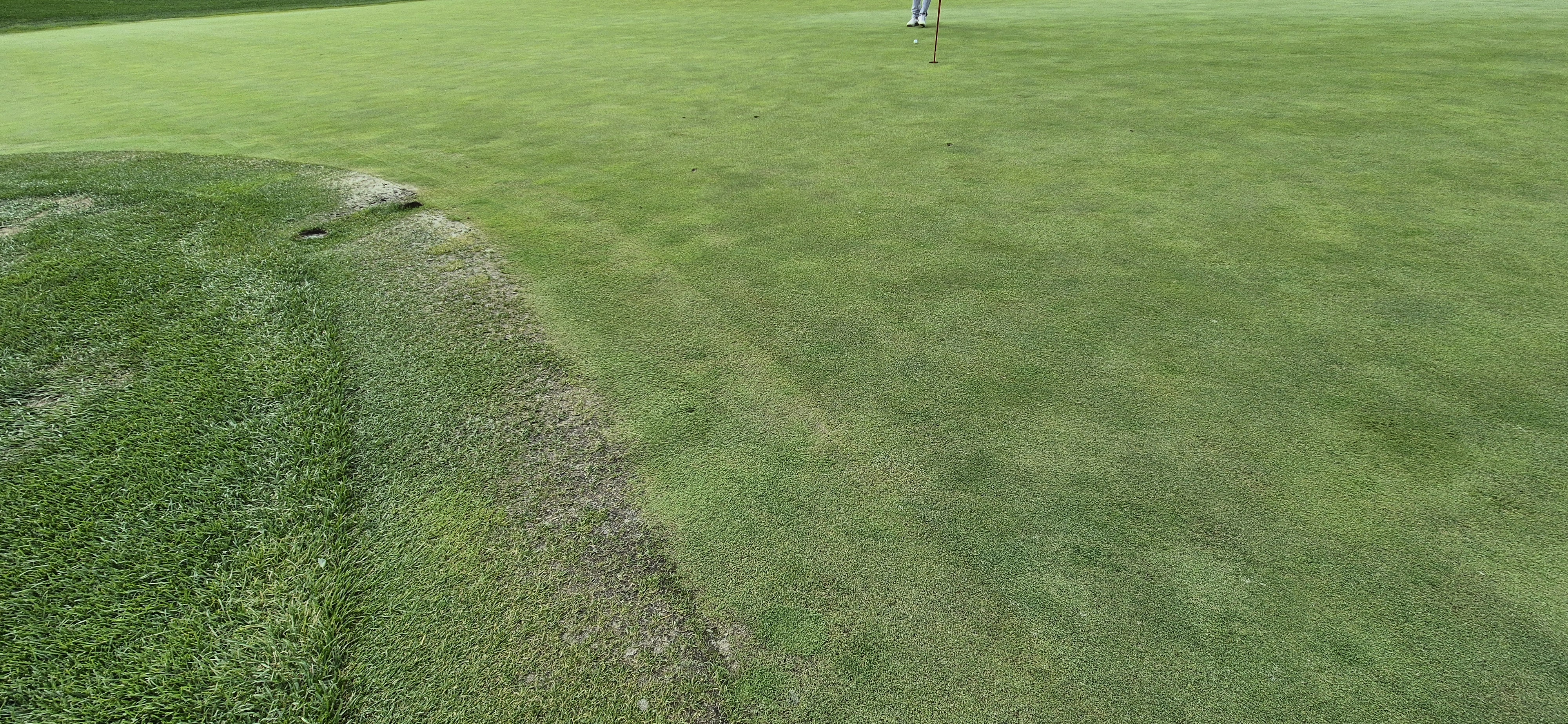 소노팰리체cc이스트