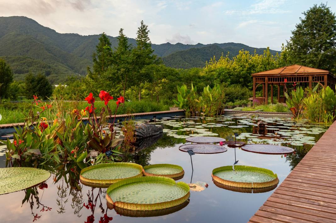 백두대간 봉자페스티벌