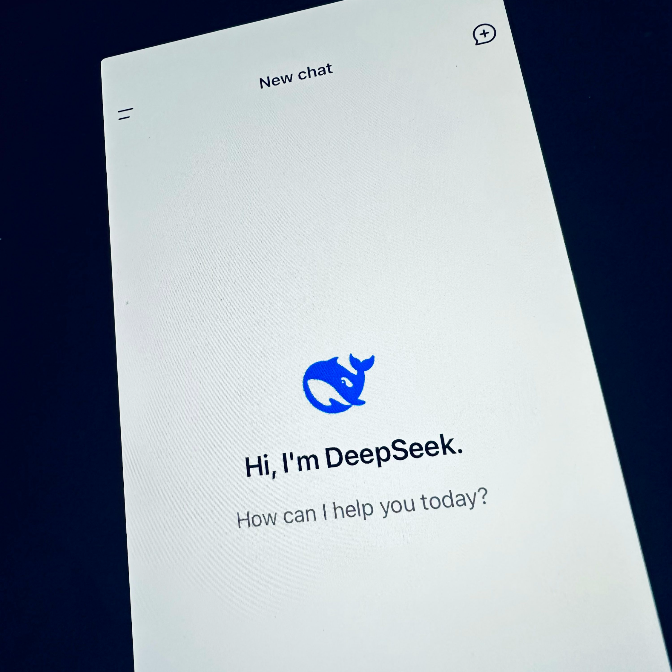 DeepSeek