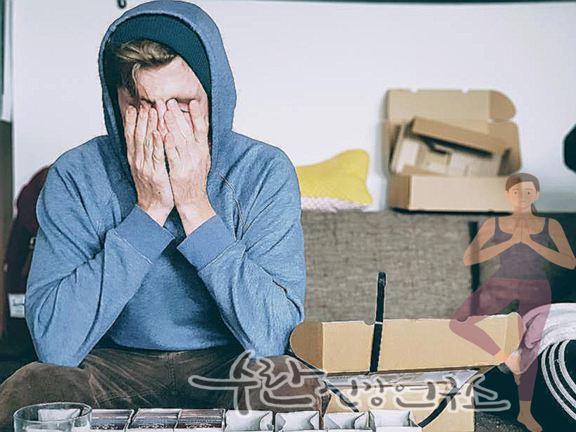 비맥스 메타 가격