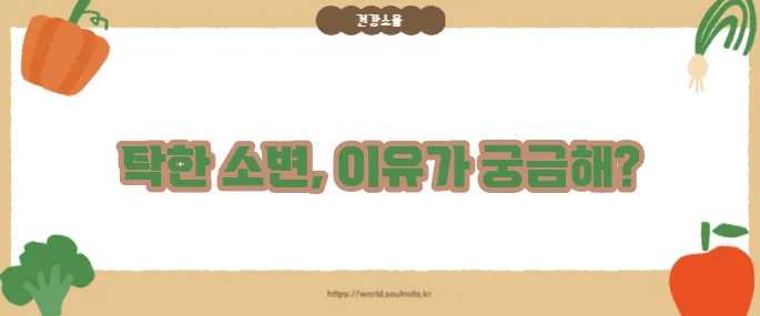 소변색이 탁한 이유 (+건강 이상 징후)