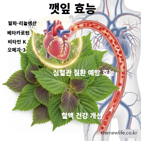 깻잎 효능 인포그래픽 – 오메가3, 베타카로틴, 비타민K가 혈액 건강과 심혈관 질환 예방에 도움