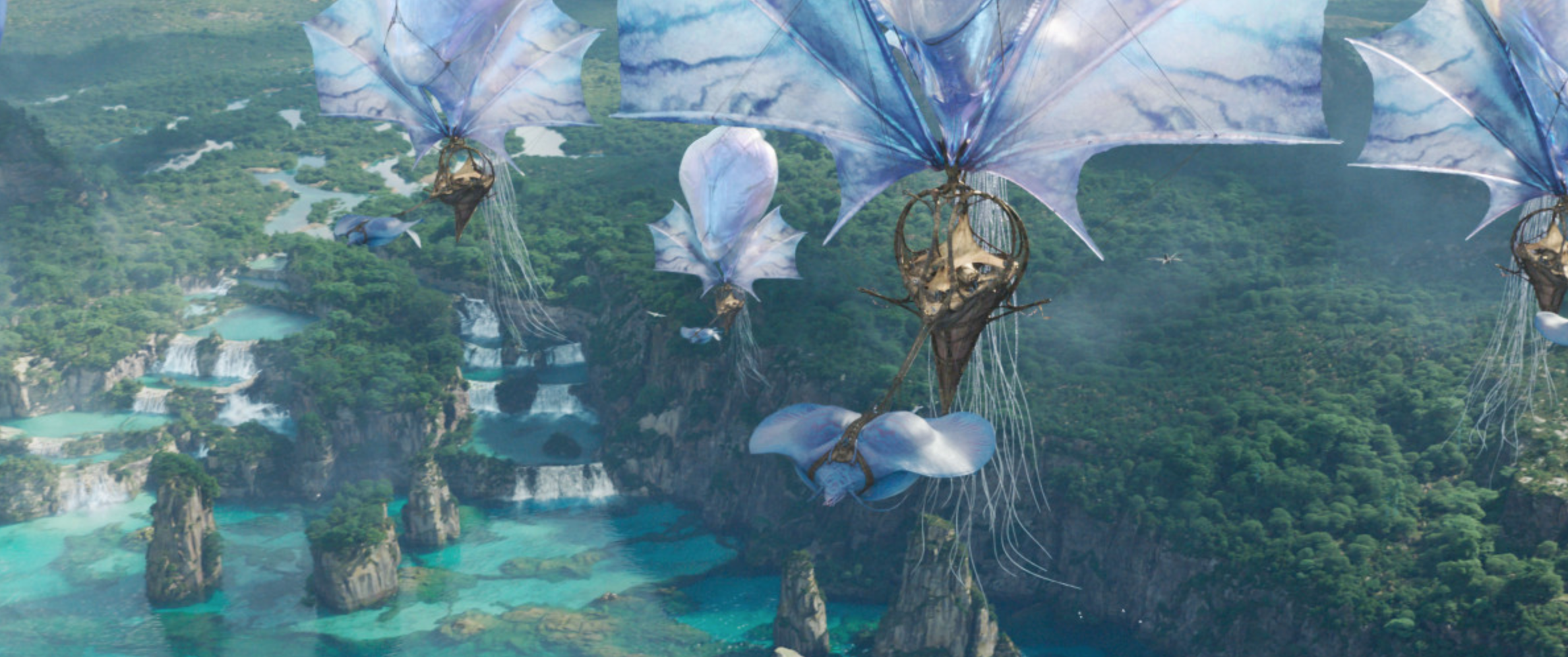 아바타 불과 재 관련 이미지