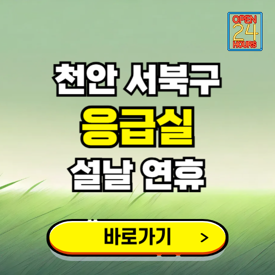 천안시 서북구 설날 연휴 비상진료 응급실 병원 찾기 ❘ 내근처 24시 야간 심야 휴일 가능한 곳