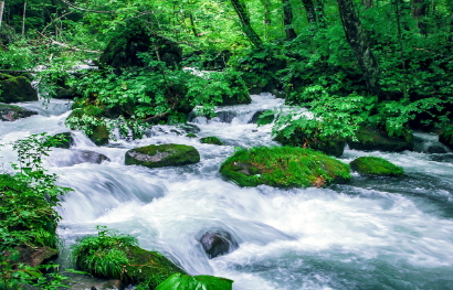 일본 아오모리에 가야 하는 이유