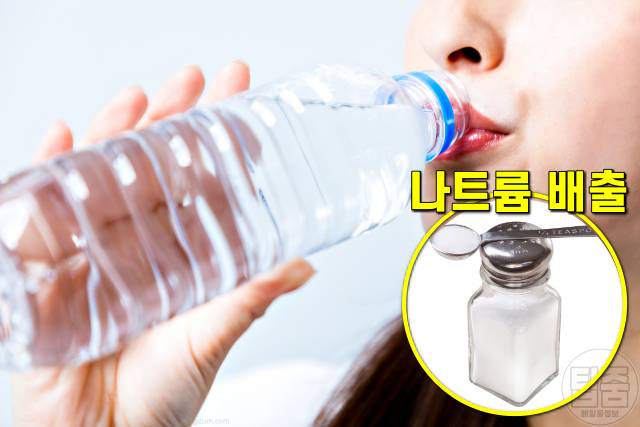 폭식후 대처,급하게 찐 살빼기,물 다이어트 중요