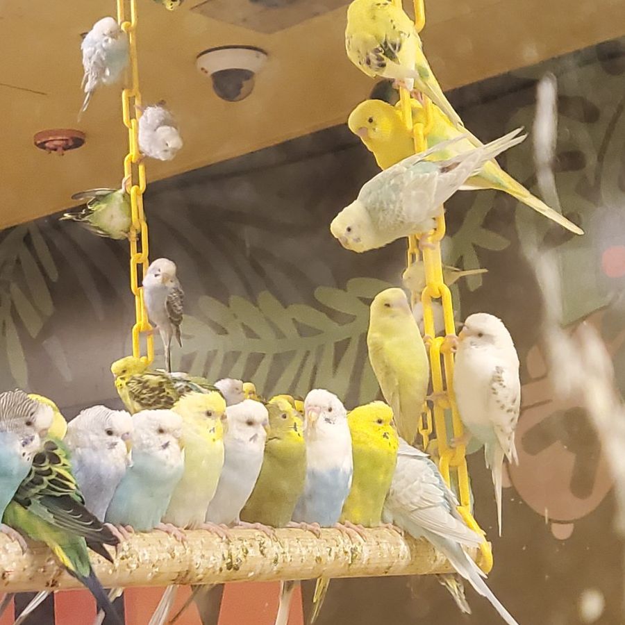 쥬라리움 청라점