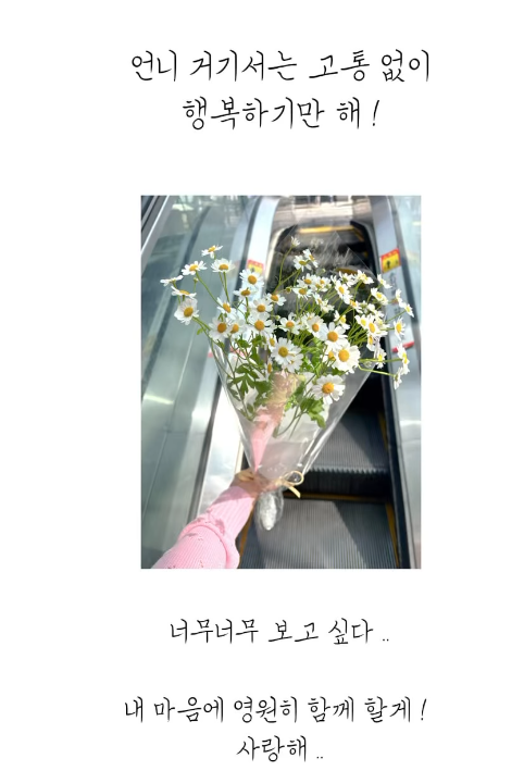 강서하 투병 사망